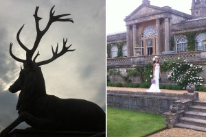 Weddingpaul1
